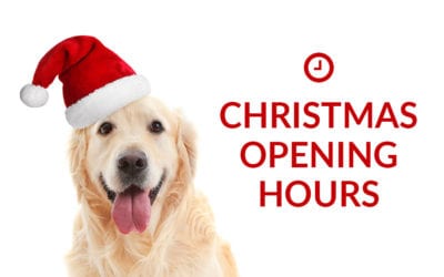 Christmas & New Year Opening Hours